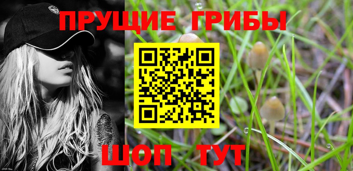 Псилоцибиновые грибы мухоморы Новочеркасск
