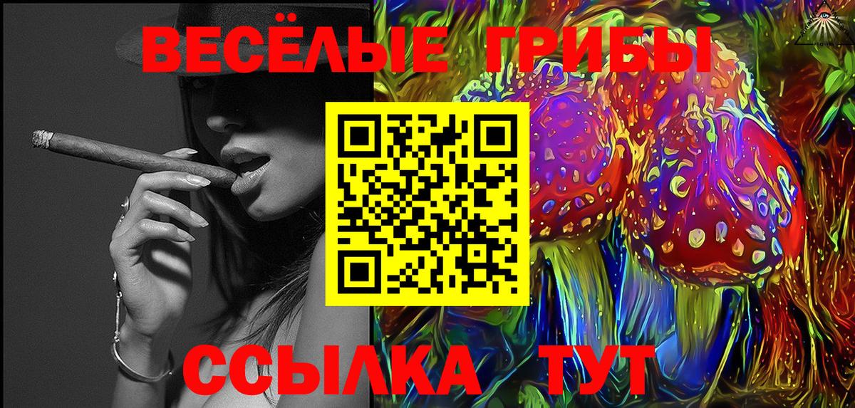 Псилоцибиновые грибы прущие грибы  Вход с VPN  Новочеркасск  Галлюциногенные грибы мицелий 